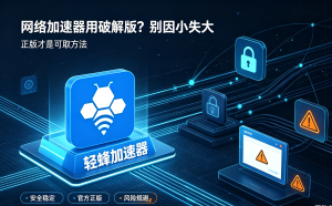 为什么你的加速器软件打不开网页?这款合法合规的轻蜂加速器值得一试